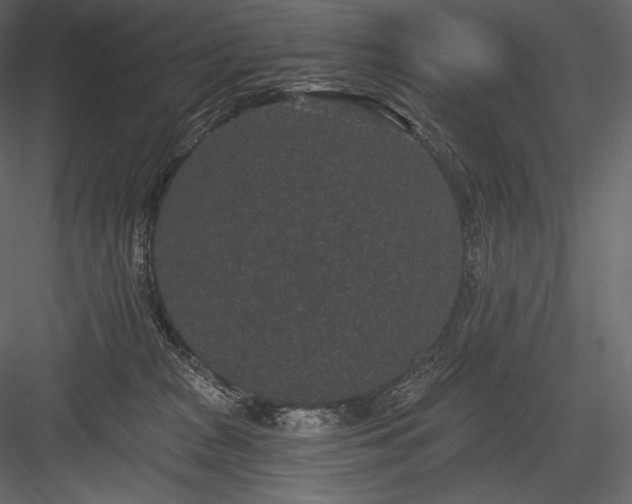 X0000084040277200702232333