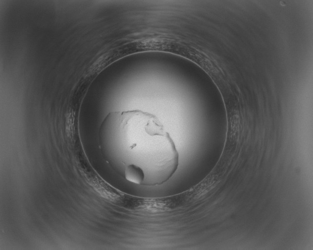 X0000084040278200702232333