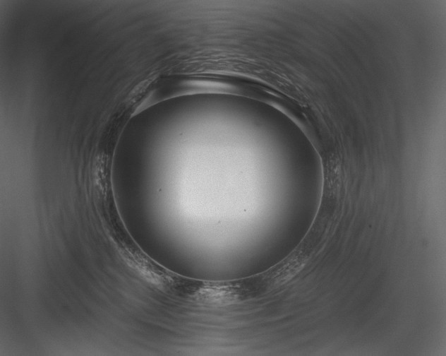 X0000084040280200702232333