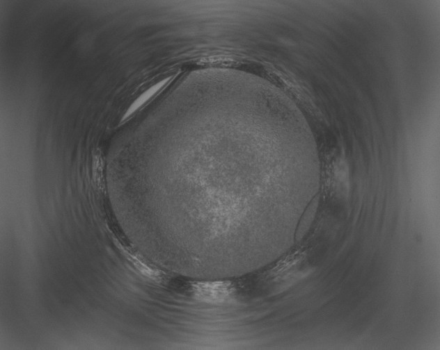 X0000084040281200702232333