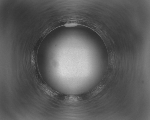 X0000084040282200702232333