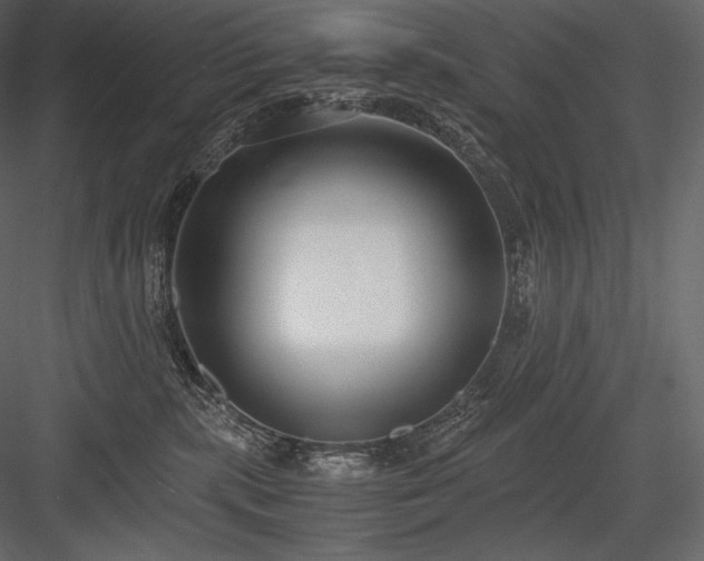 X0000084040283200702232333