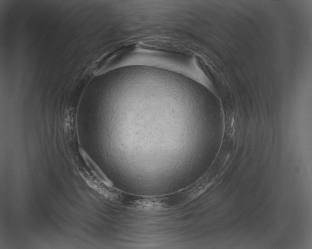 X0000084040284200702232333