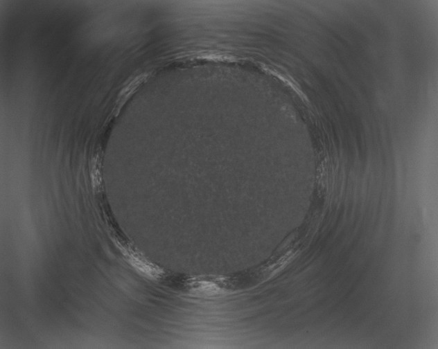 X0000084040285200702232333