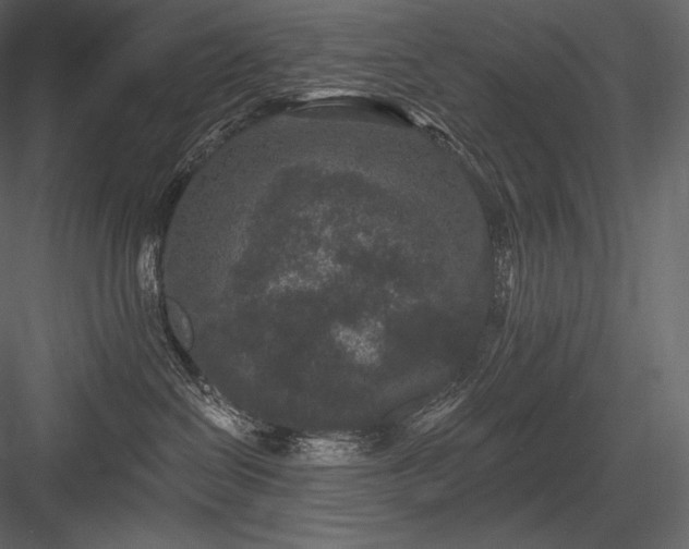 X0000084040286200702232333