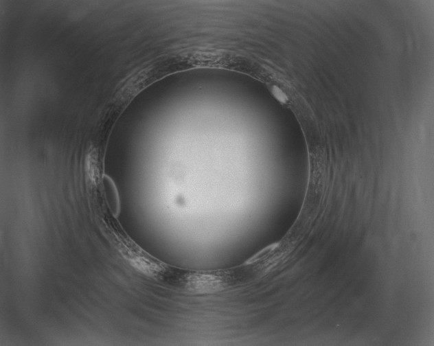 X0000084040287200702232333