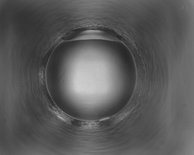 X0000084040288200702232333