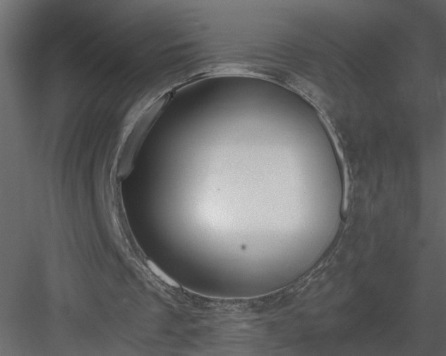 X0000084040289200702232332