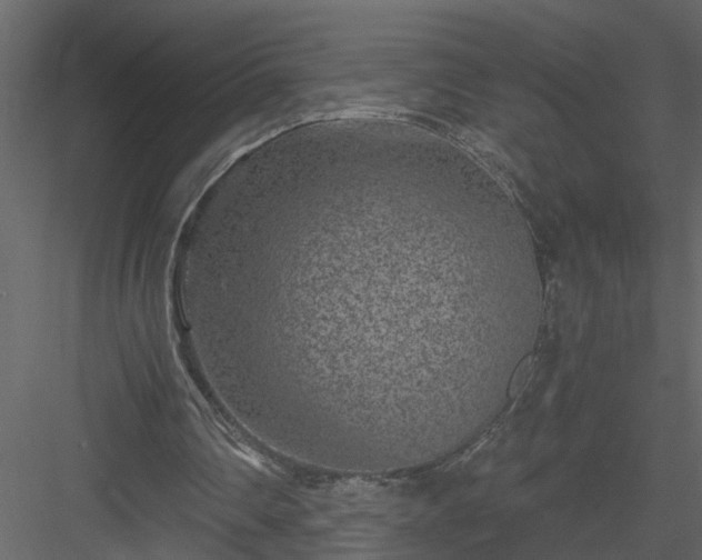 X0000084040290200702232332