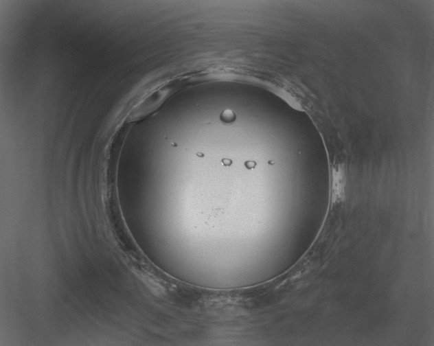 X0000084040291200702232332