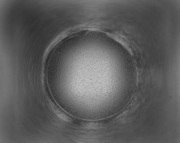 X0000084040293200702232332