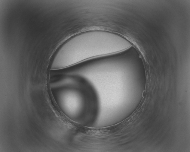 X0000084040297200702232332