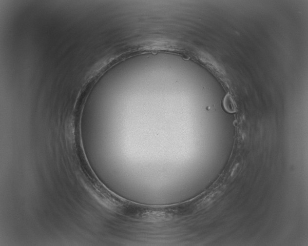 X0000084040298200702232332