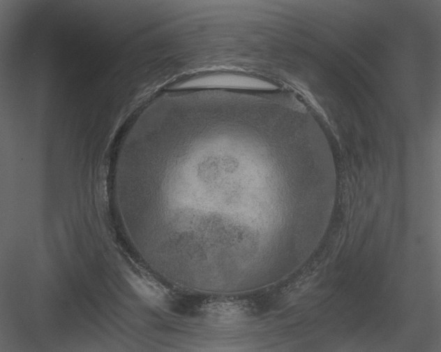 X0000084040299200702232332