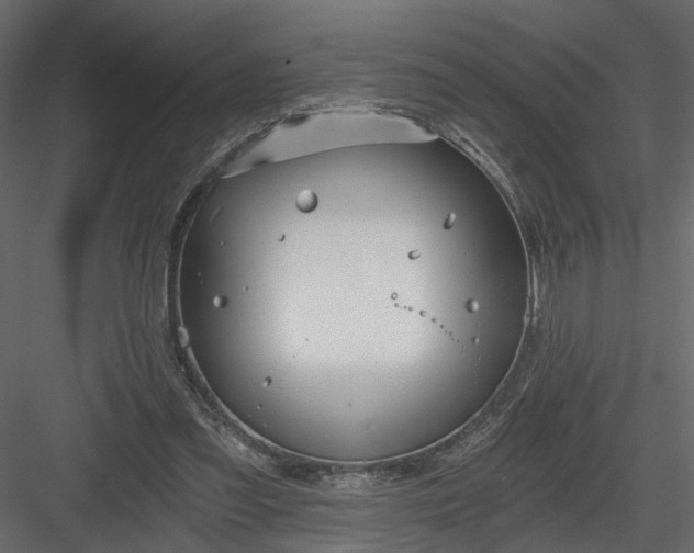 X0000084040301200702232332