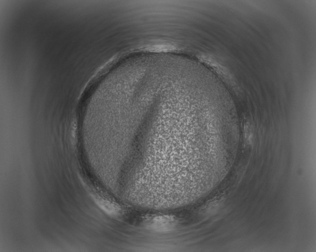 X0000084040304200702232332