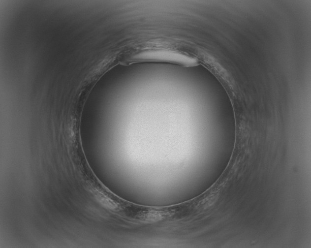 X0000084040305200702232332