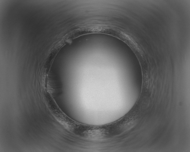 X0000084040307200702232332