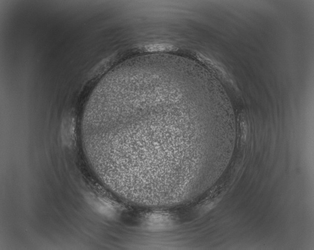 X0000084040308200702232332