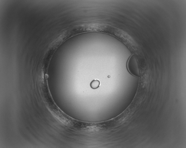 X0000084040310200702232332