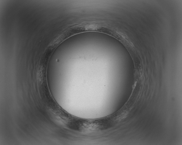 X0000084040311200702232332