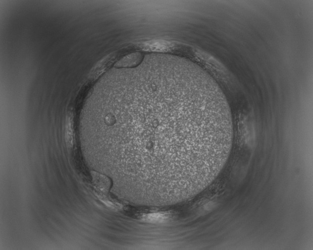 X0000084040312200702232332