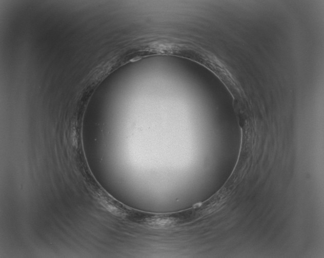 X0000084040313200702232332