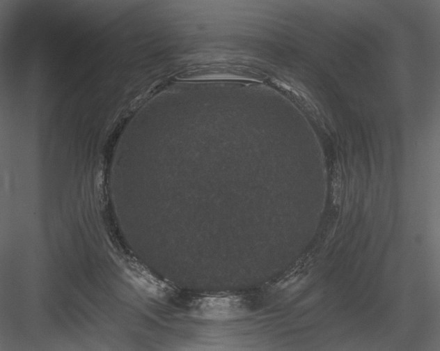 X0000084040314200702232332