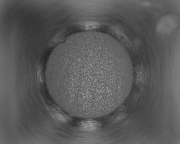 X0000084040316200702232332