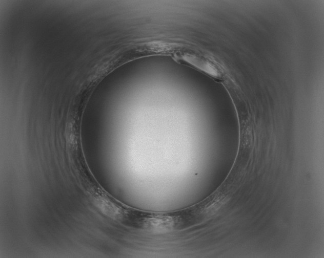 X0000084040317200702232332