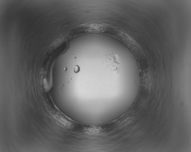 X0000084040318200702232332