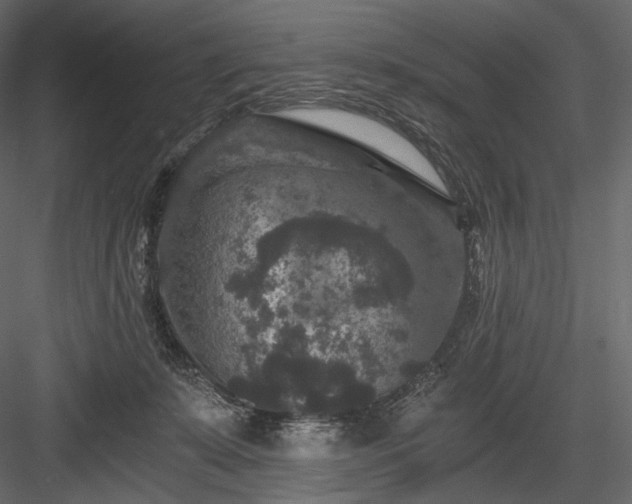 X0000084040319200702232332