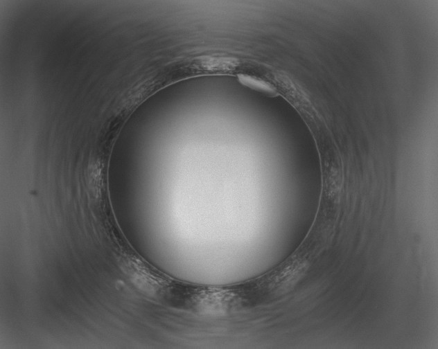 X0000084040321200702232332