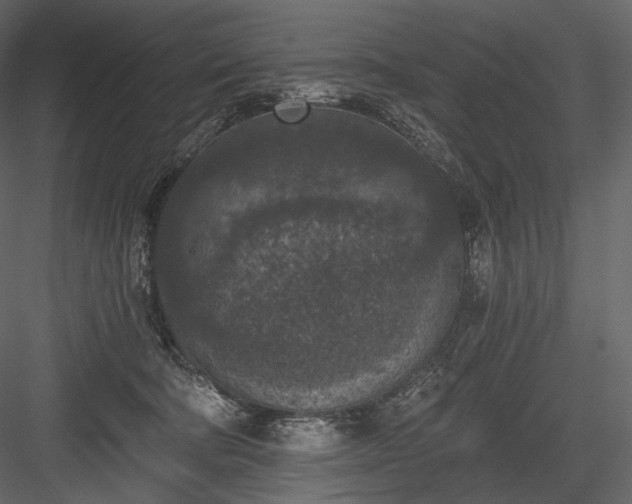 X0000084040322200702232332