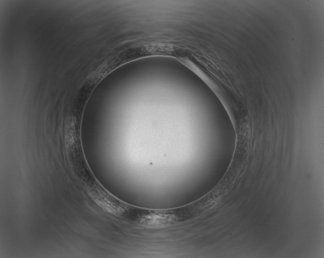 X0000084040323200702232332