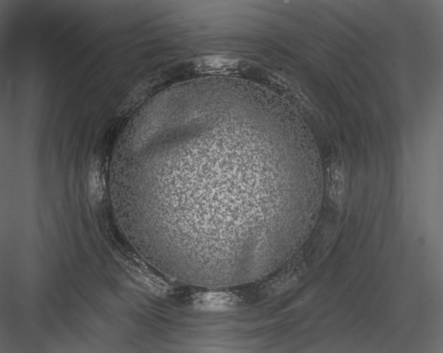 X0000084040324200702232332