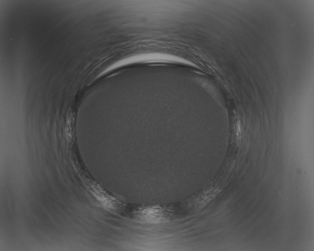 X0000084040325200702232331