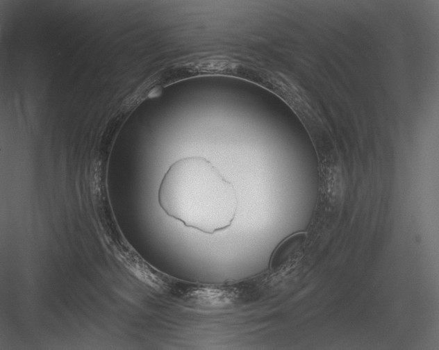 X0000084040326200702232331