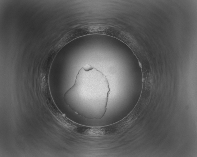 X0000084040327200702232331