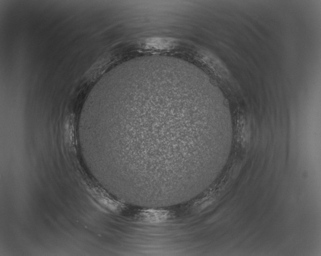 X0000084040328200702232331