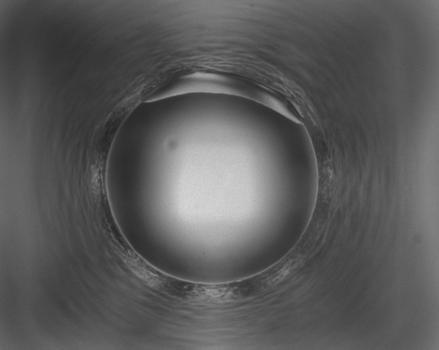 X0000084040329200702232331