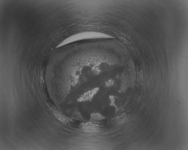 X0000084040331200702232331