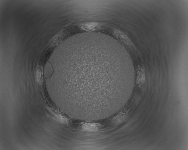 X0000084040332200702232331