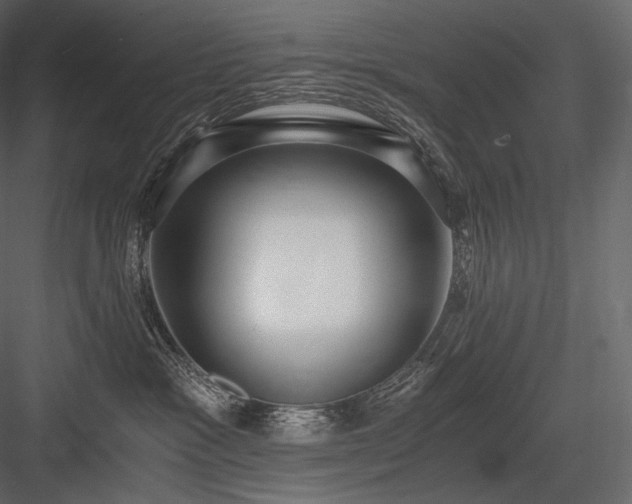 X0000084040333200702232331