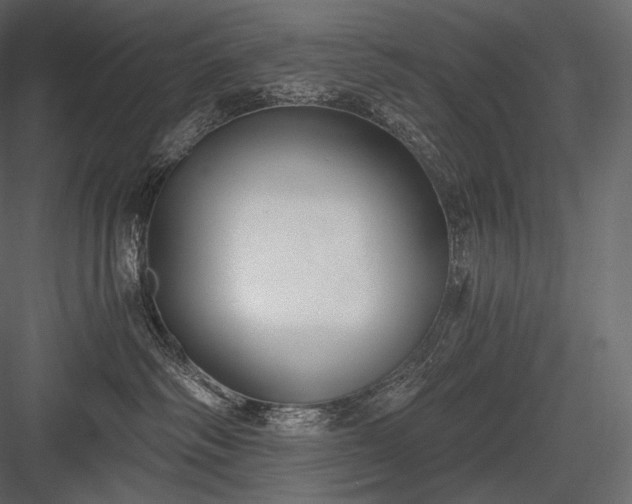 X0000084040334200702232331