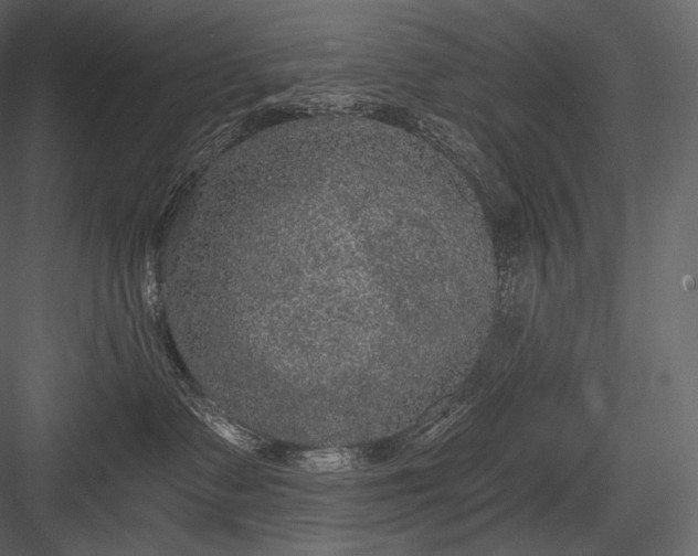 X0000084040335200702232331