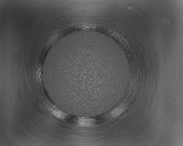 X0000084040336200702232331