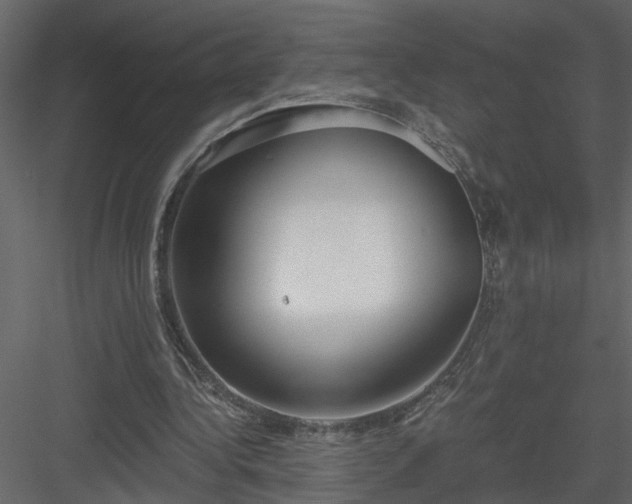 X0000084040340200702232331