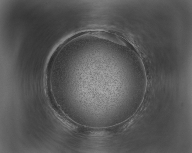 X0000084040342200702232331