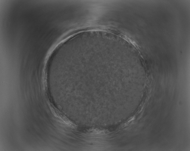 X0000084040343200702232331